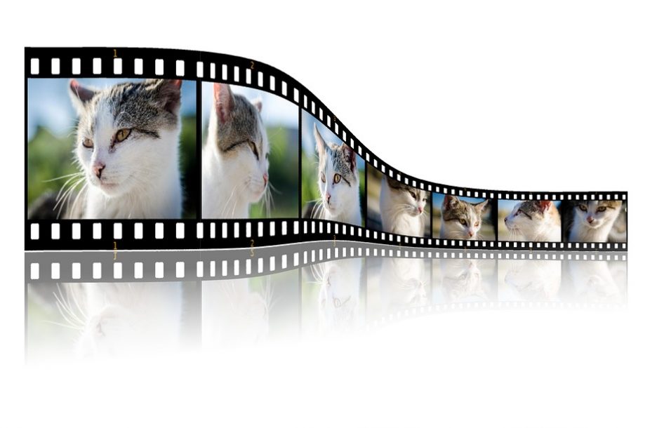 Freemake Online Video Converter Review