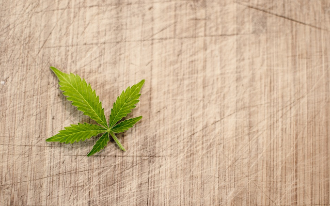 Cannabis Edibles You Should Try and All Their Perks
